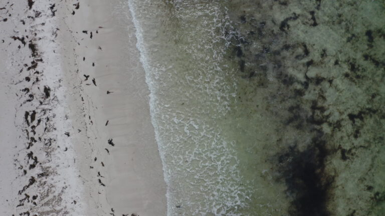 36 Lofoten Aerials