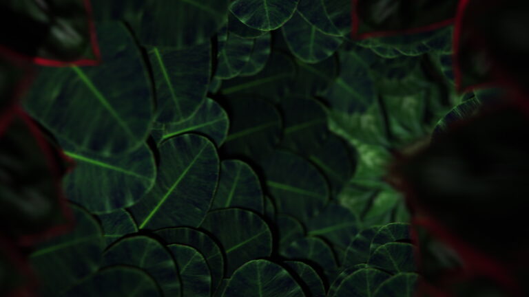 Nature Tunnels 09