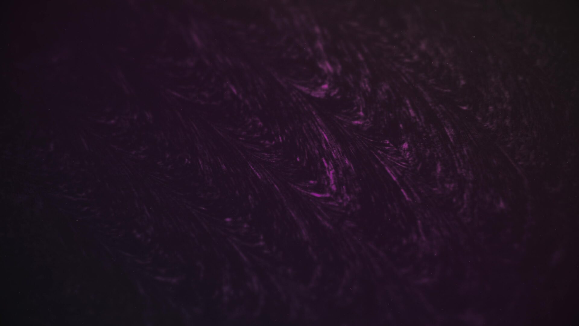 Dark-distortion-1-color-still