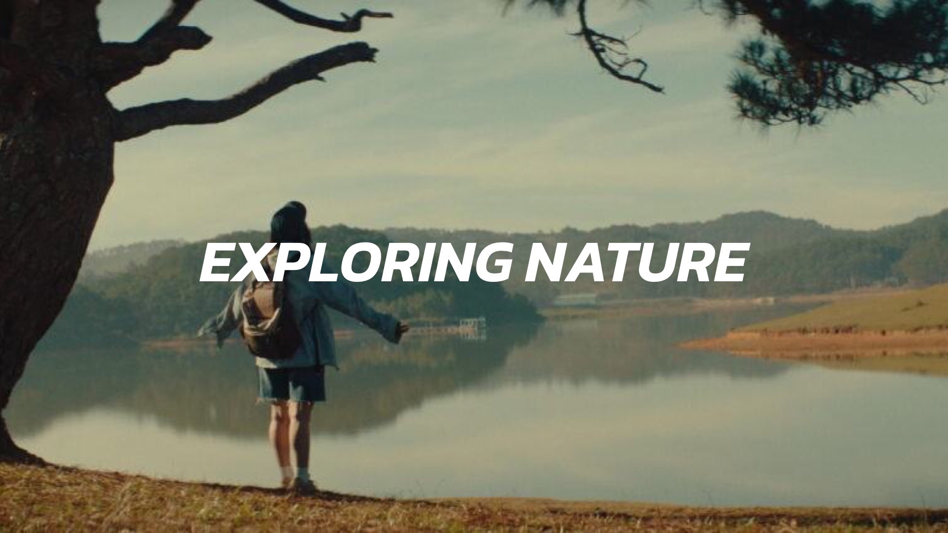 Exploring Nature | Stock Footage | Story Loop