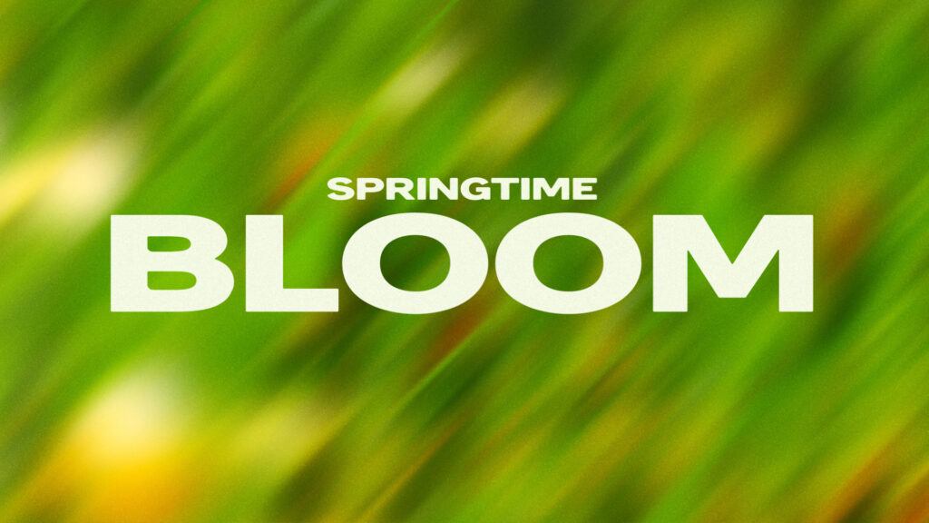 Springtime Bloom - Motion Backgrounds | Story Loop